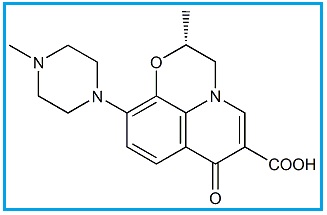 Levofloxacin Desfluoro 2-Methyl Analog 
